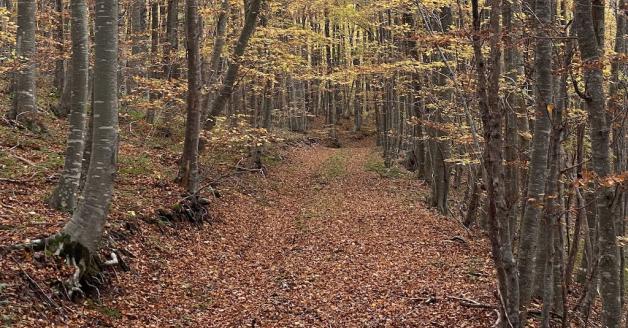 Monte Castel Fraiano - Sorgenti del Sinello - Chiesa della Madonna del Monte