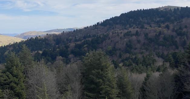 Visit Monti Frentani