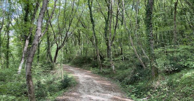 Sentiero natura Guilmi Sentiero natura Guilmi