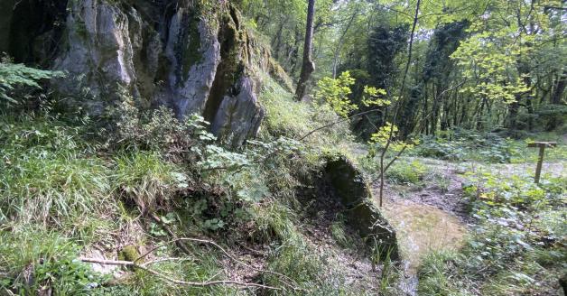 Sentiero delle ripe di gesso Sentiero delle ripe di gesso