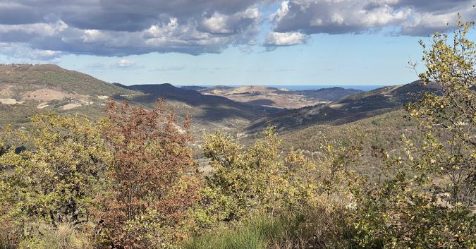 Valle del Treste